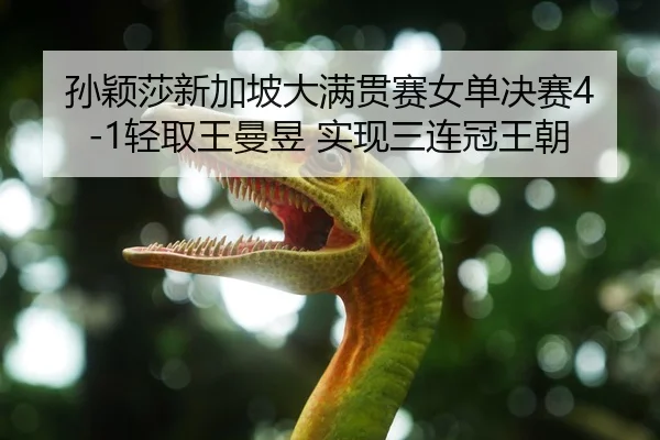 sun-ying-sha-xin-jia-po-da-man-guan-sai-nv-dan-jue-sai-qing-qu-wang-man-yu-shi-xian-san-lian-guan-wang-chao-2-465.jpg