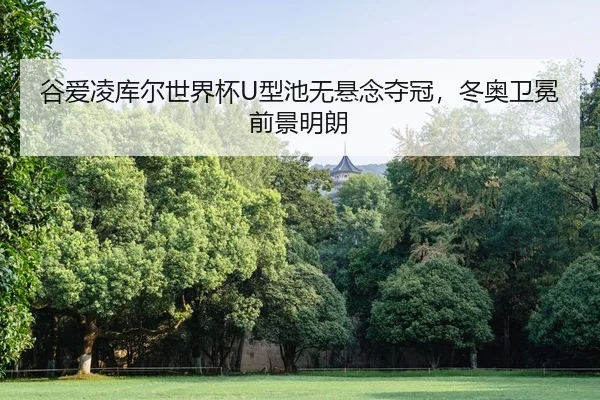 gu-ai-ling-ku-er-shi-jie-bei-xing-chi-wu-xuan-nian-duo-guan-dong-ao-wei-mian-qian-jing-ming-lang-2-444.jpg